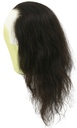 Woman Film Lacefront wig, 100% Hantied  Euro Hair 16inch / 40cm